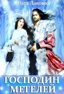 Обложка книги Господин метелей (СИ)