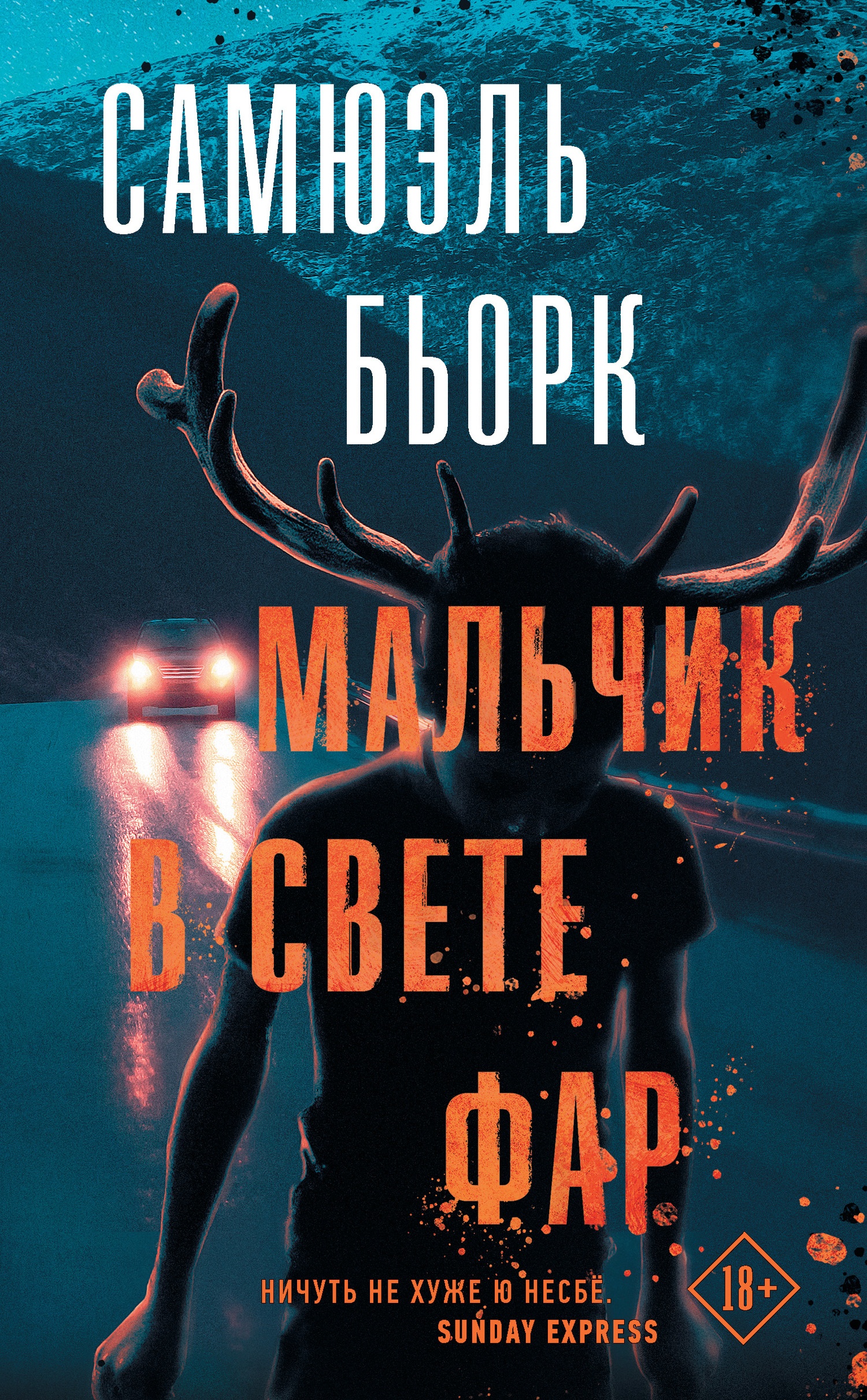 Обложка книги Мальчик в свете фар