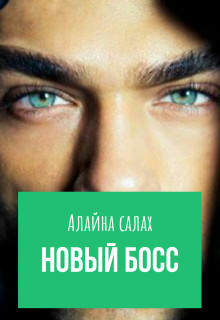 Обложка книги Новый босс (СИ)