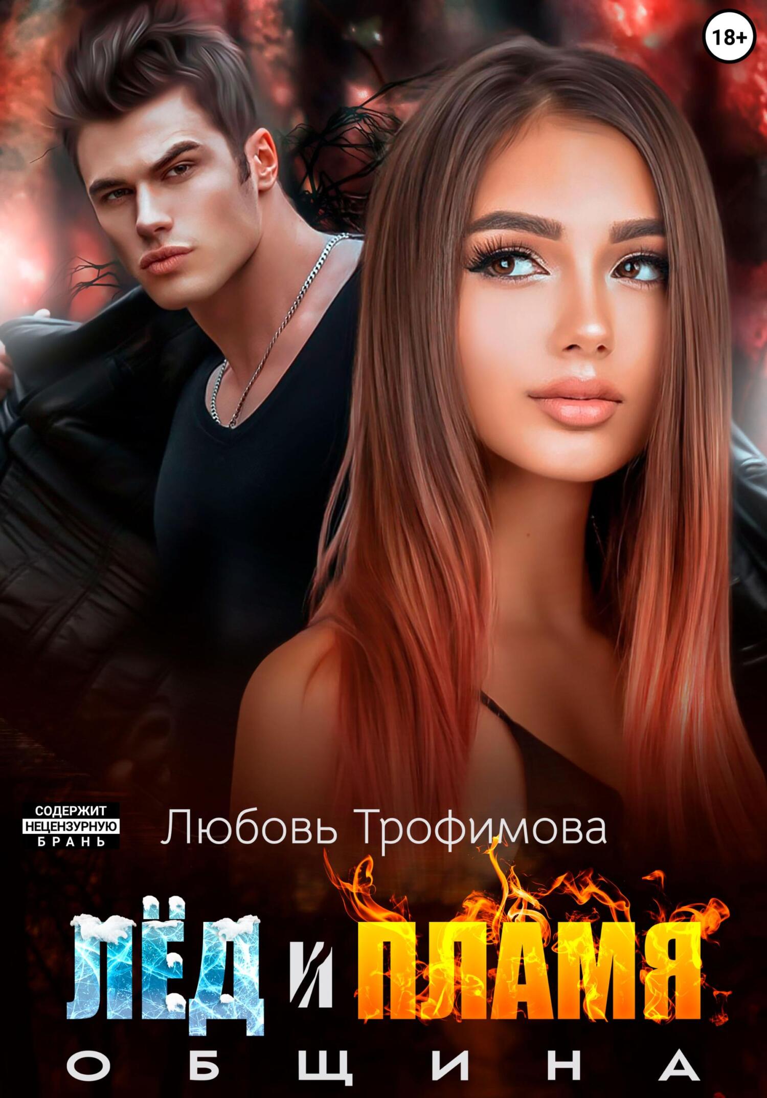 Обложка книги Община. Лёд и пламя