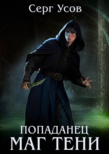 Обложка книги Попаданец. Маг Тени. Книга 10