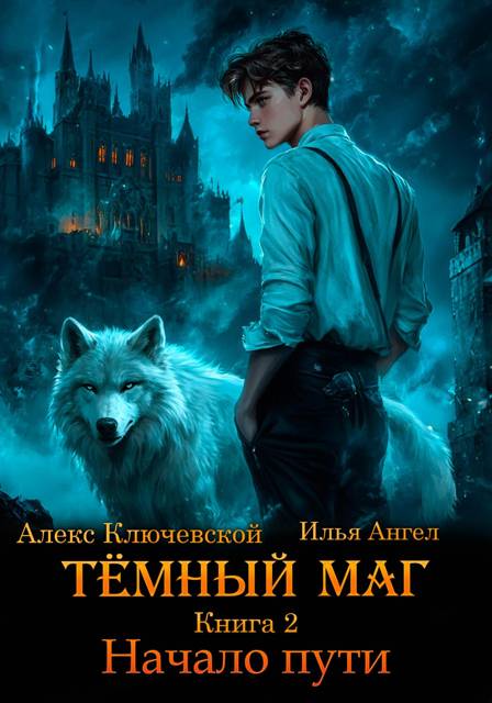 Обложка книги Темный маг. Книга 2. Начало пути
