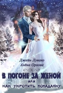 Обложка книги В погоне за женой, или Как укротить попаданку