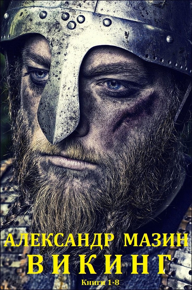 Обложка книги Викинг